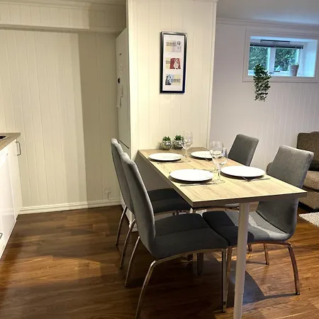 - Bright, Spacious, Comfortable Appartement Porsgrunn