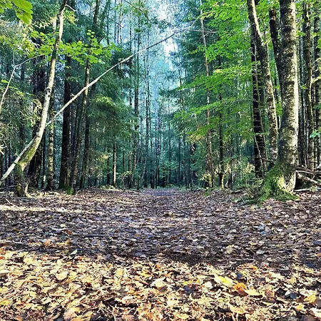 - Bright, Spacious, Comfortable Appartamento Porsgrunn